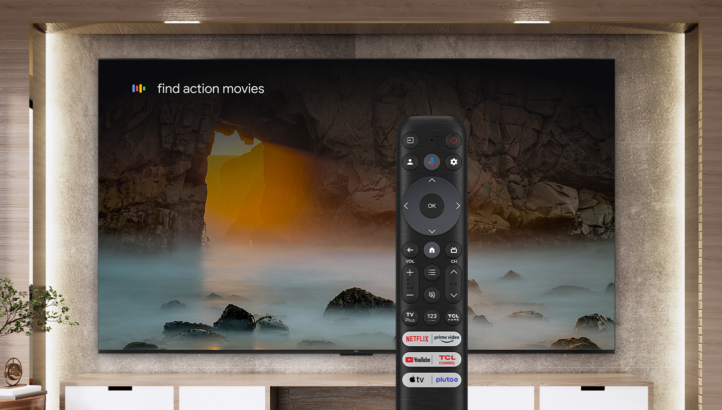 Google TV OS